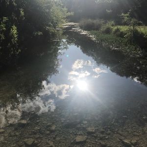 Meet your Posher, Ana maria